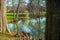 Overview between the trees, the lakeside and its reflections