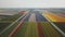 Overview tulip field