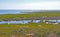 Overview of the Whooping Crane Wetlands Habitat