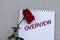 OVERVIEW - words on a white sheet of paper with a red rose on a gray background