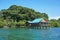 Overwater bungalow with lush tropical vegetation