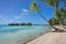 Overwater bungalows lagoon and coconut trees