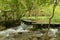 The Overwater Forest in the Small Seven-hole Scenic Area