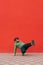 Overweight technical dancer dances break dance on red wall background. Vertical