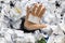 Overworked employee holding a blank piece of paper as copy space, above a stack of crumpled paper