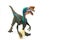 Oviraptor with stolen egg on white background