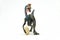 Oviraptor with stolen egg on white background