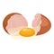 Ovum eggshell icon cartoon . Food duck bird