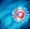 Ovum fertilization blue background