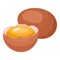 Ovum yolk egg icon cartoon vector. Broken eggshell