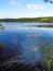 Owasco Lake shallow inlet flats near Moravia NYS