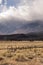 Owen\'s Valley Sierra Neveda Mountains Livestock Cattle Ranch
