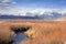 Owens River And Sierra Nevada Mountains In A Dry Winter