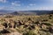 Owens Valley from the 89