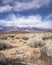 Owens Valley Mountain View
