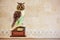 Owl as symbol of wisdom and knowledge. Decorative item, statuette of owl on stack of books