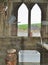 Owl in a barn with church like windows