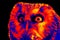 Owl bird close-up in scientific high-tech thermal imager