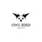 Owl bird logo template