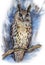 Owl on a branch, watercolor illustration