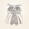 Owl in cloak modern original print. Hand drawn vector illustration