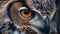 Owl Close-Up A Glimpse into the Intensity of Nature\\\'s Watcher