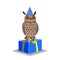 Owl congrats with Birthday. Bird with present