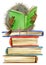 Owl. cute owl. school books illustration. cartoon bird