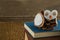 Owl decorated with pine cone and book stack on wooden table