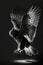 owl flying portrait animal black and white photo studio retro backlight