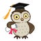 Owl in graduation cap