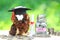 Owl in graduation hat and stack of coins money in the glass bottle on natural green background, Saving money for education concept