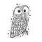 Owl hand drawn sketch. Funny cute bird isolated.