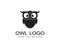 Owl logo template vector