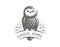 Owl logo - vector illustration. Emblem design