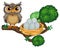 Owl perching on tree branch
