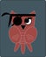 Owl pirate, flat style