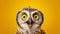 Owl's Astonishment: Vivid Studio Portrait. Generative ai