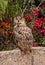 Owl sits among flowering shrubs