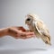 Owl sitting on hand, close-up on white, beautiful bird of prey,