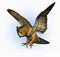 Owl Swooping Down 2 - includes clipping path