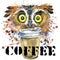 Owl T-shirt graphics. coffee and owl illustration with splash watercolor textured background.