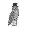 Owl in top cylinder hat sketch vector illustration