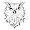 Owl. Vector illustration of a sketch bird. Nocturnal birds of prey with hawk-like beak isolated on white background