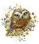 Owl Watercolor illystration. forest wildlife. Cartoon woodland animal.