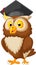 Owl wearing graduation cap