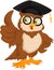 Owl wearing graduation cap and thumb up