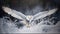 Owl In Winter Setting White Owl Beautiful Animal Majestic