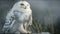 Owl In Winter Setting White Owl Beautiful Animal Majestic