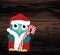 Owlet in Santa Claus costume holds a Christmas candy. Greeting